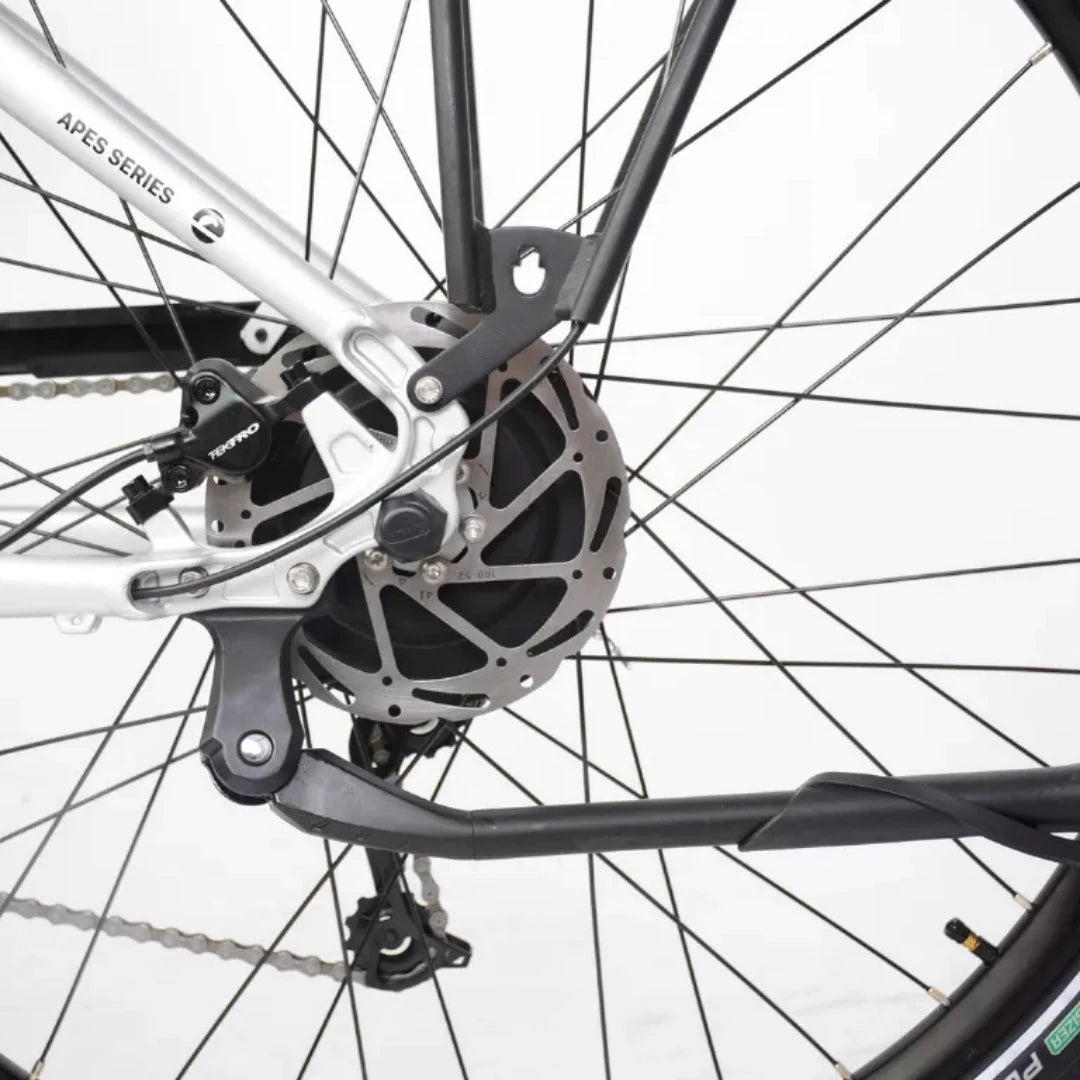 ECONO Apes CITY EER4 2026