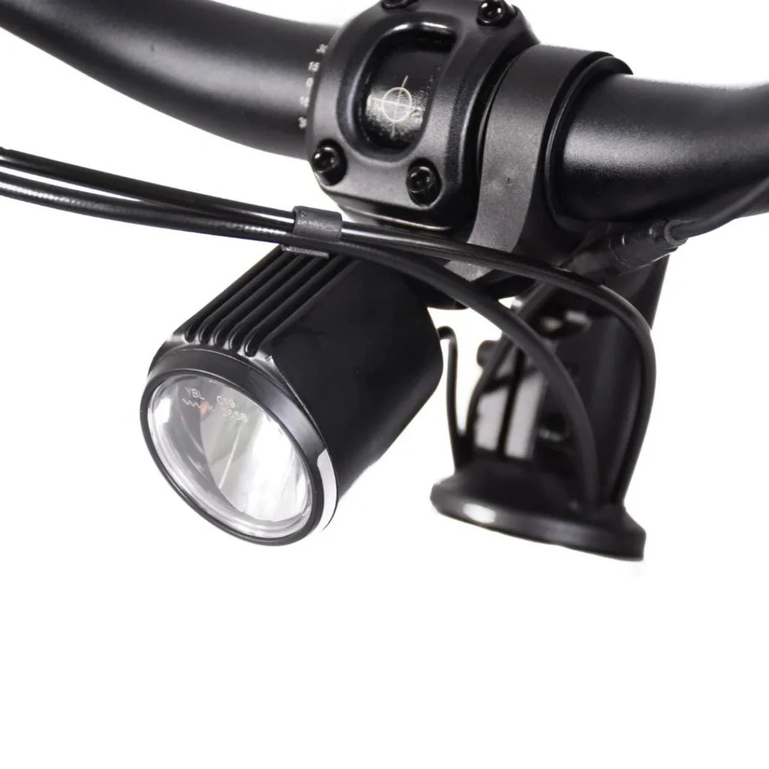 ECONO Apes CITY EER4 2026