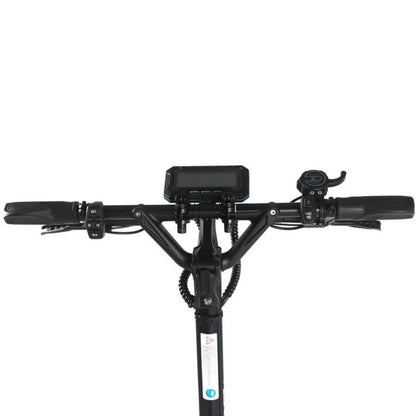 Dualtron Thunder 2