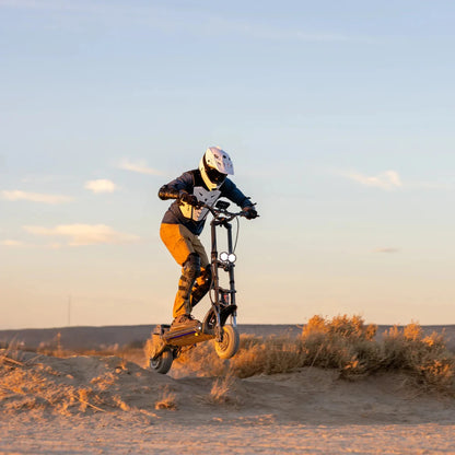 Kaabo Wolf Warrior 11 MAX