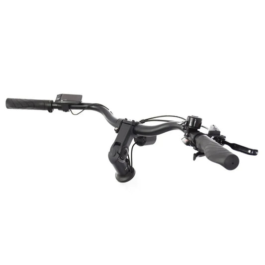 ECONO Apes CITY EER3 2026