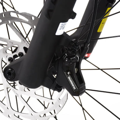 ECONO Gams MTB 29 C7 2026