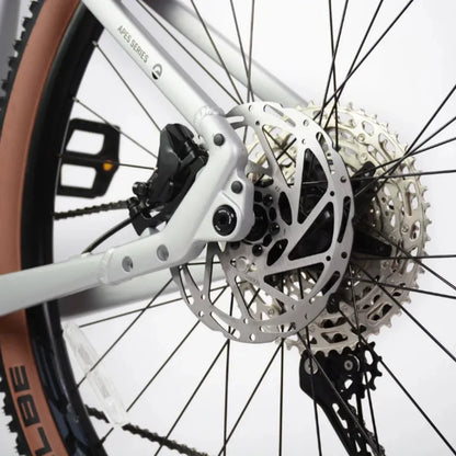 ECONO Gams MTB 29 EEC7 2026