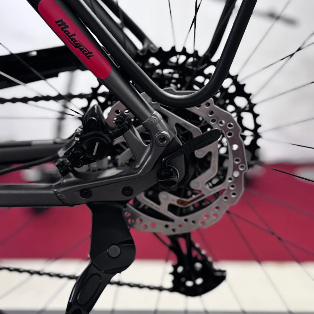 The product is an Electric Bike, brand Malaguti, model Bolonina. The image shows a part of the bike, where the derailleur, braking system, and chain are visible. The color combination includes grey and pink, giving it a modern look. The bike is designed for comfortable and efficient riding.