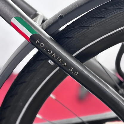 The product pictured is an electric bike from the brand Malaguti, model Bolonina 3.0. The image shows a part of the bike's frame, where the model designation and the Italian flag in red, white, and green are clearly visible. The bike features a modern design and is equipped with thick tires, suggesting a comfortable ride.
