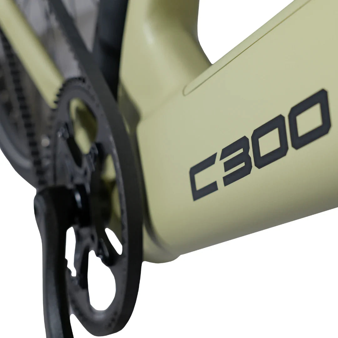 The product is an electric bike, model C300, from the brand MS Energy. The image shows a detail of the bike's frame in light green, with the model C300 clearly marked. The chain and pedal system are also displayed, highlighting the bike's technical features.