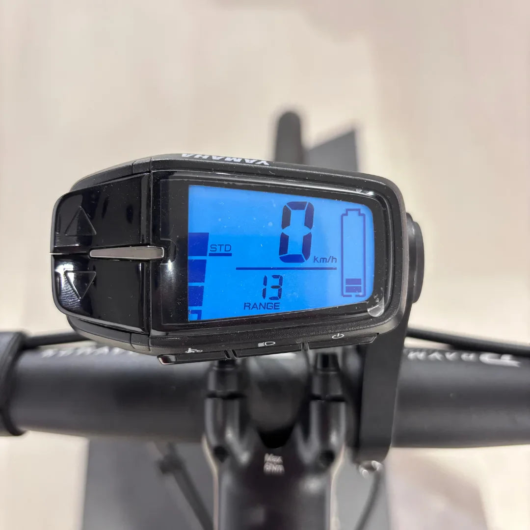 The product is an Electric Bike, brand Raymon, model GravelRay E 7.0. The image shows a digital display, indicating a speed of 0 km/h and a distance of 13 km, which suggests the remaining range you can travel. The display is mounted on the bike's handlebars.