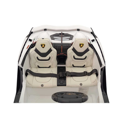 Lamborghini SIAN vehicle