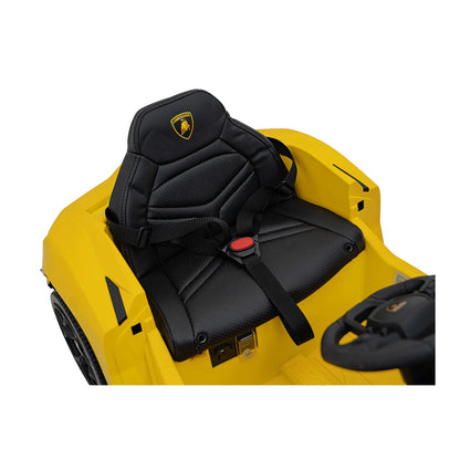 Vehicle Lamborghini Revuelto