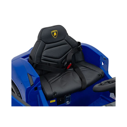 Vehicle Lamborghini Revuelto