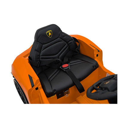Vehicle Lamborghini Revuelto