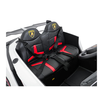 Vehicle Lamborghini Veneno
