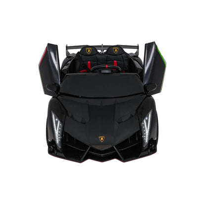 Vehicle Lamborghini Veneno