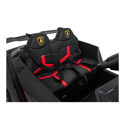 Vehicle Lamborghini Veneno